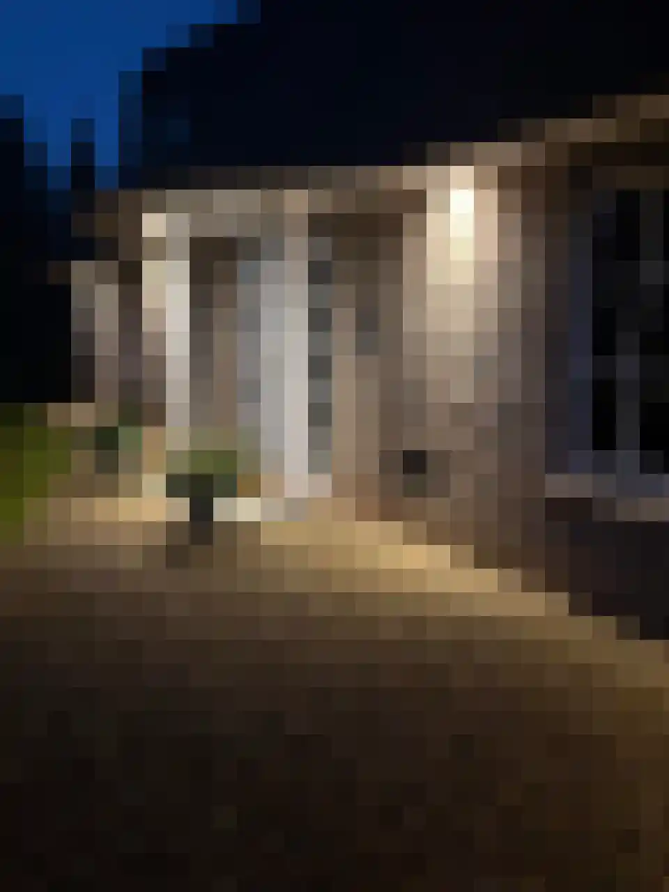 Kooibos 5 Almere thumbnail 9