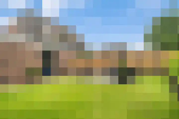 Kooibos 5 Scheerwolde thumbnail 30