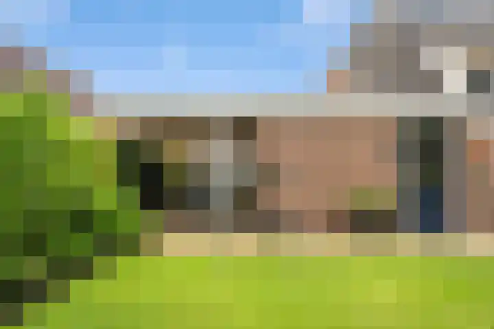 Kooibos 5 Scheerwolde thumbnail 31