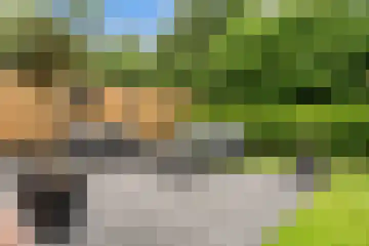 Kooibos 5 Scheerwolde thumbnail 32