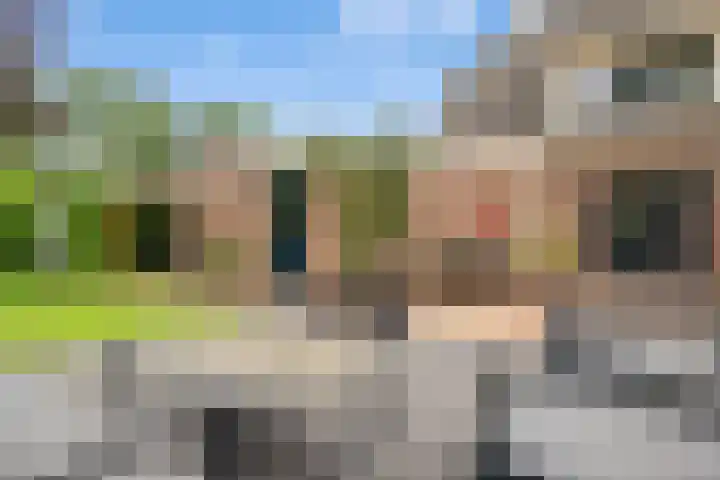 Kooibos 5 Scheerwolde thumbnail 33