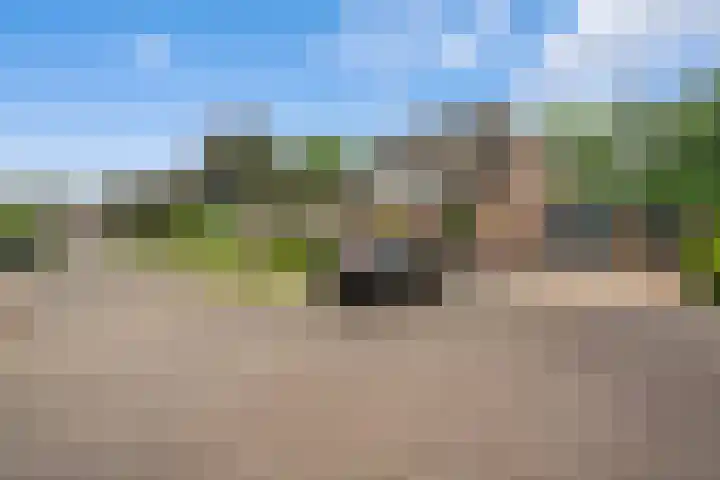 Kooibos 5 Scheerwolde thumbnail 36