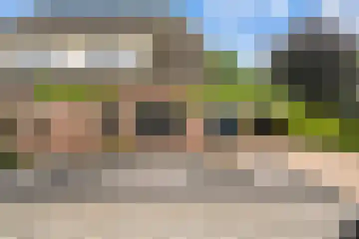 Kooibos 5 Scheerwolde thumbnail 38