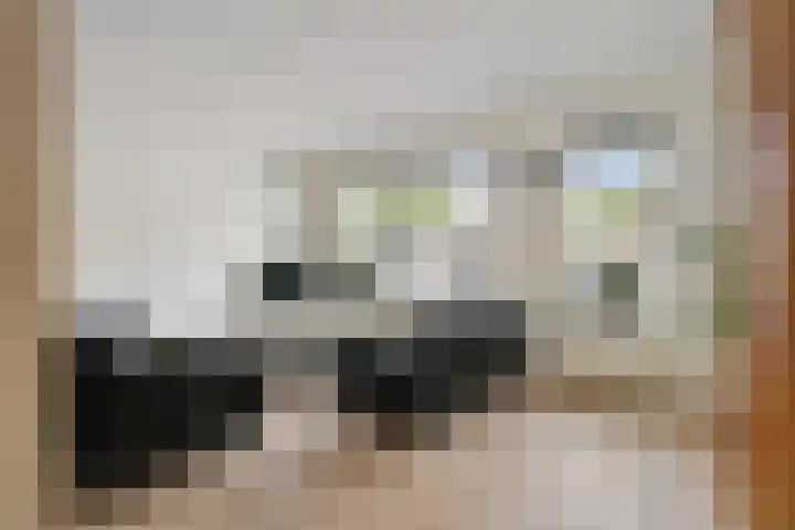Kooibos 5 Scheerwolde thumbnail 4