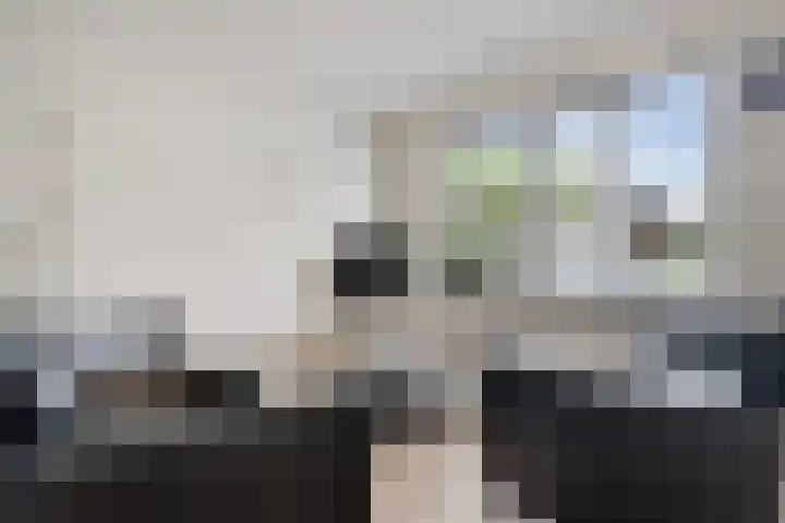 Kooibos 5 Scheerwolde thumbnail 6