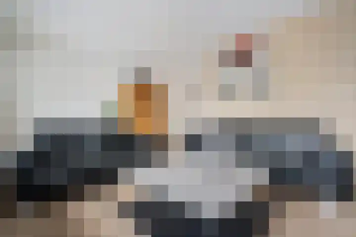 Kooibos 5 Scheerwolde thumbnail 8