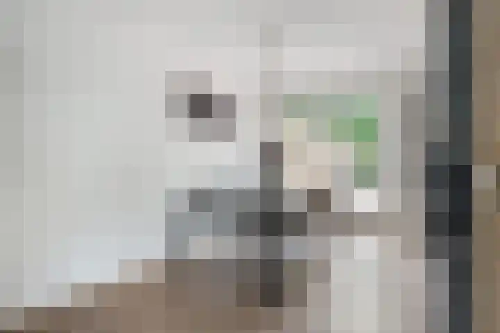 Kooibos 5 Scheerwolde thumbnail 9