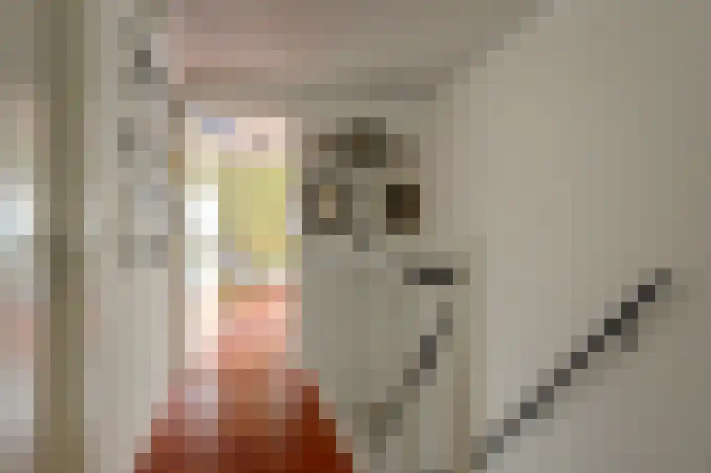 Kooigroet 6 Zuid-Scharwoude thumbnail 23