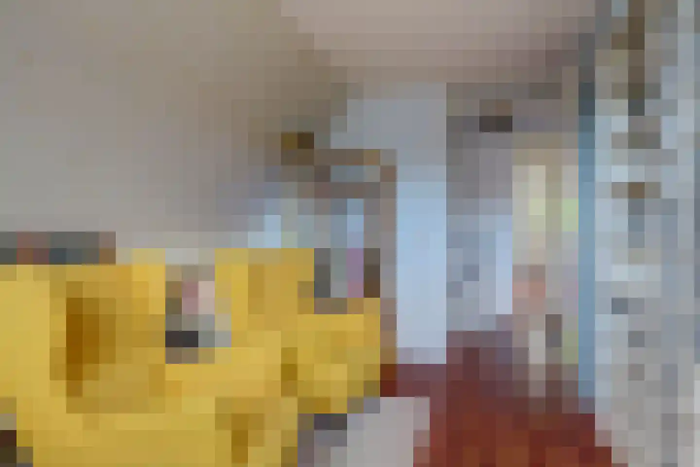 Kooigroet 6 Zuid-Scharwoude thumbnail 32