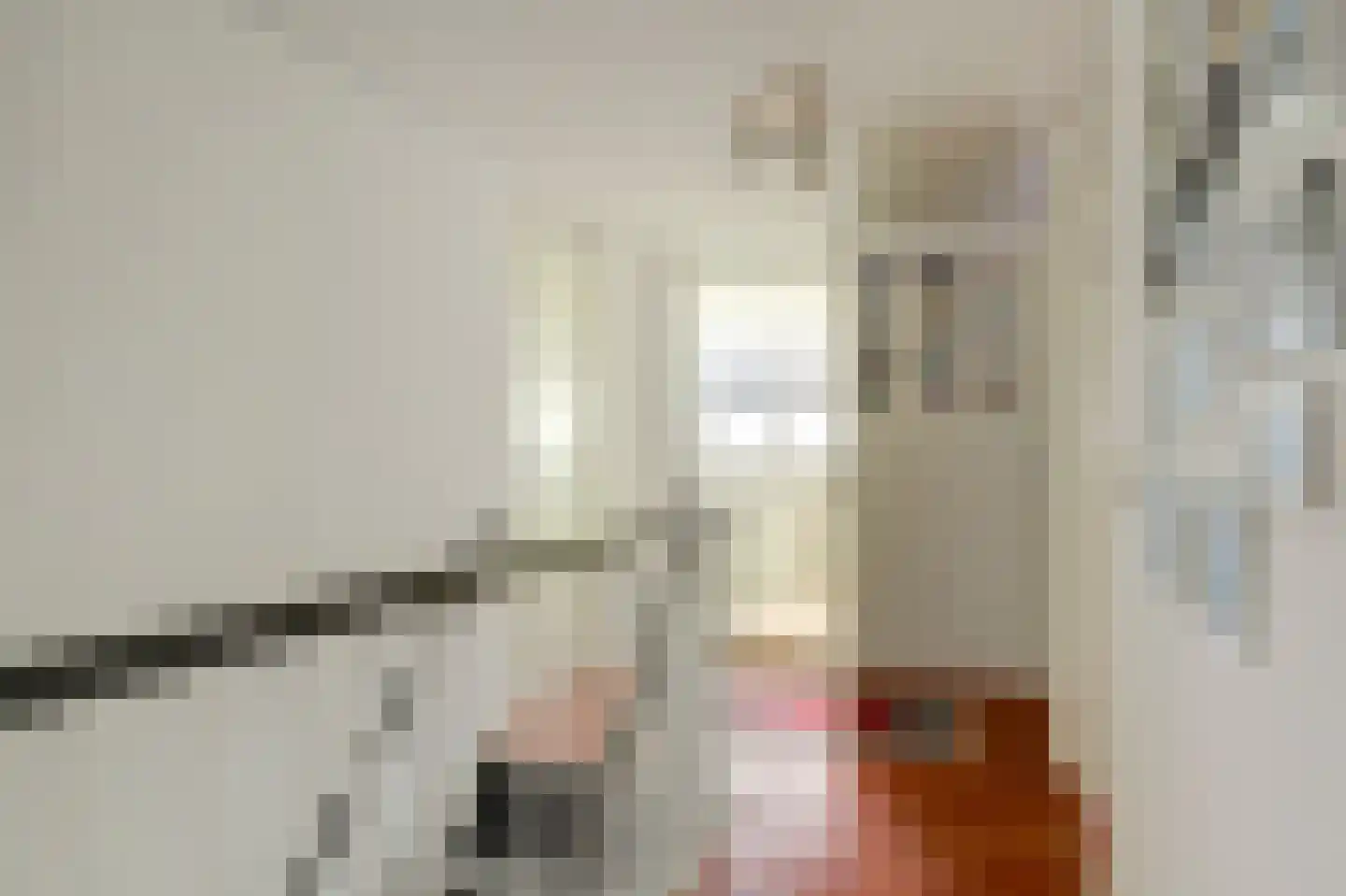 Kooigroet 6 Zuid-Scharwoude thumbnail 33