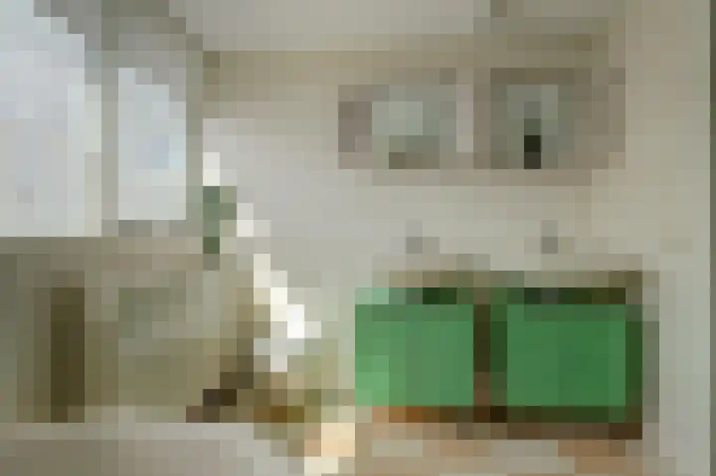 Kooigroet 6 Zuid-Scharwoude thumbnail 36