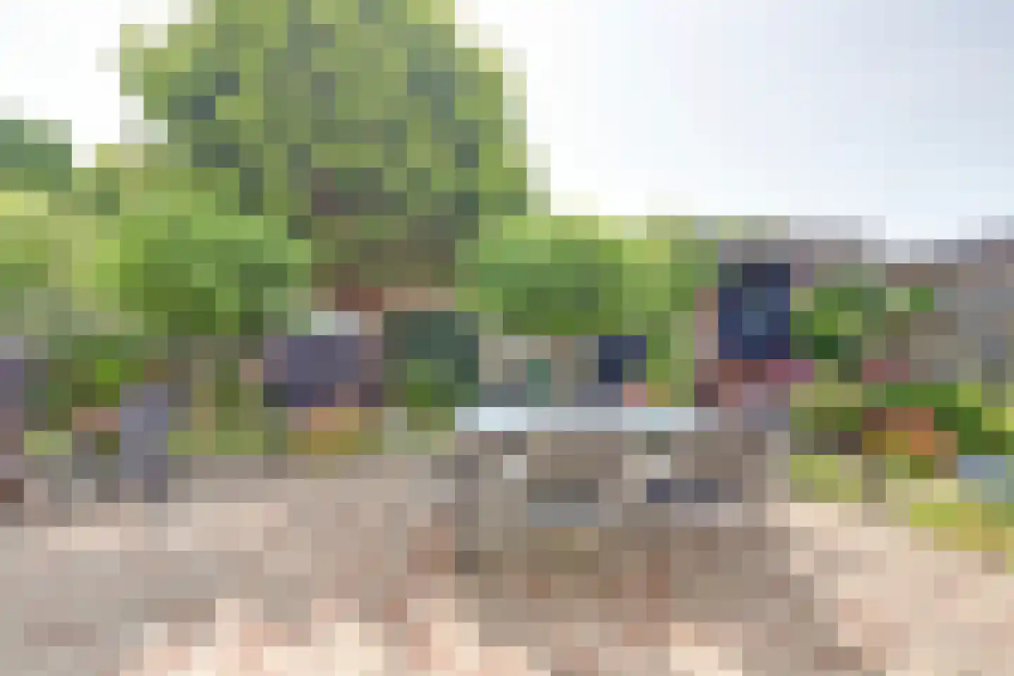 Kooigroet 6 Zuid-Scharwoude thumbnail 4
