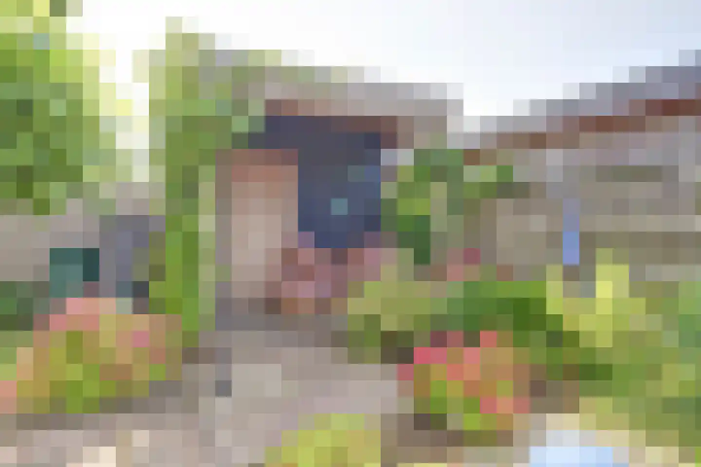 Kooigroet 6 Zuid-Scharwoude thumbnail 40