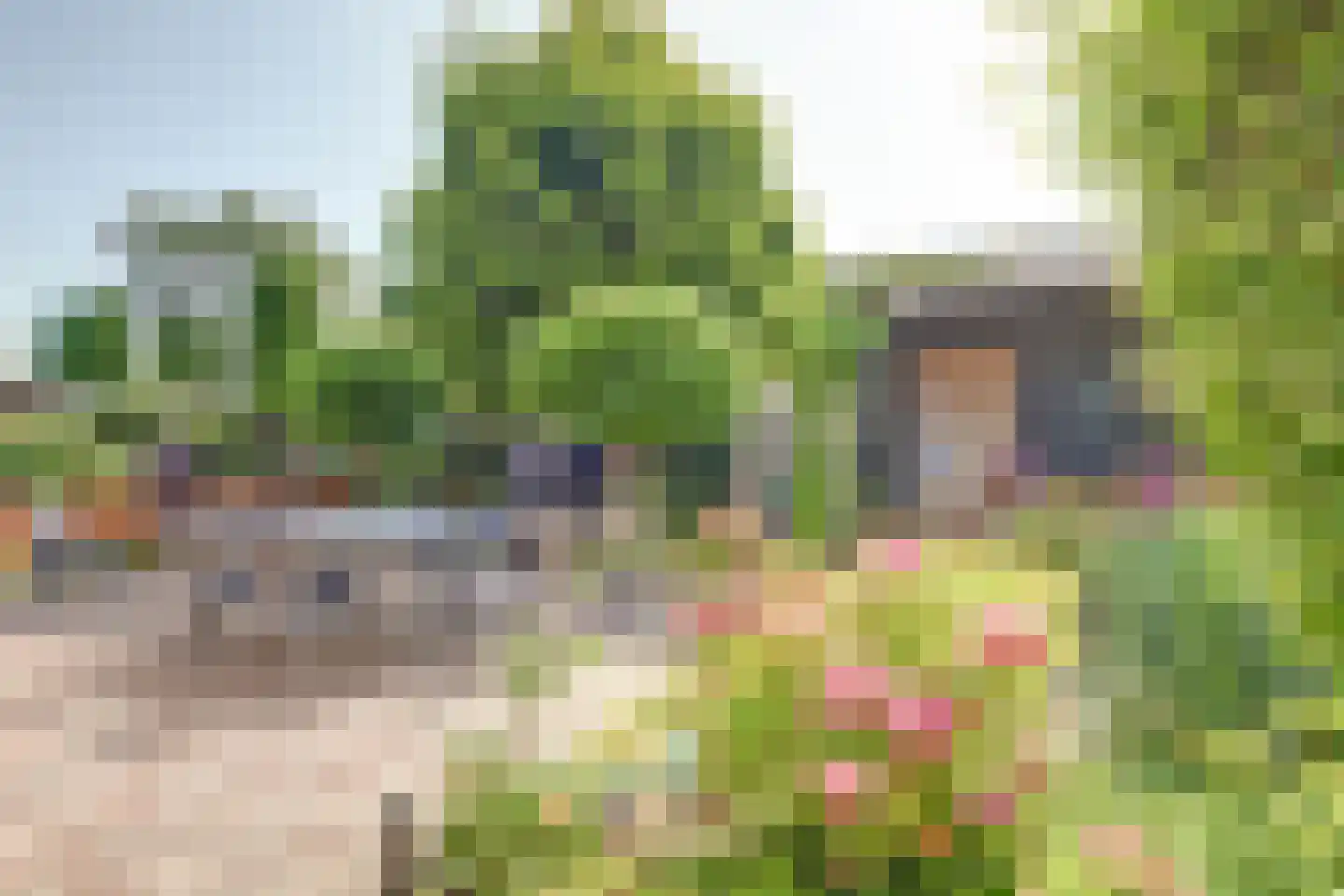 Kooigroet 6 Zuid-Scharwoude thumbnail 41