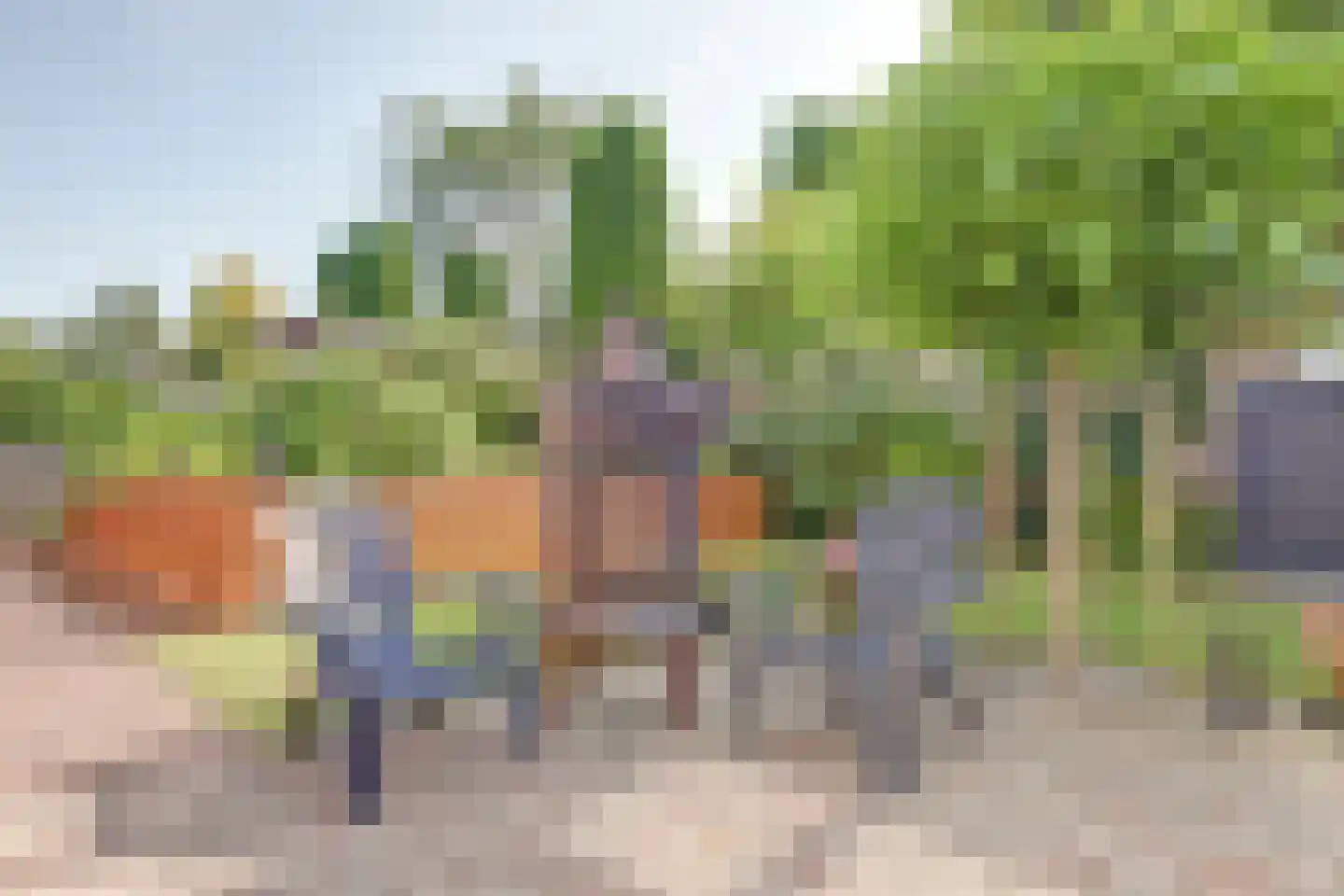 Kooigroet 6 Zuid-Scharwoude thumbnail 43