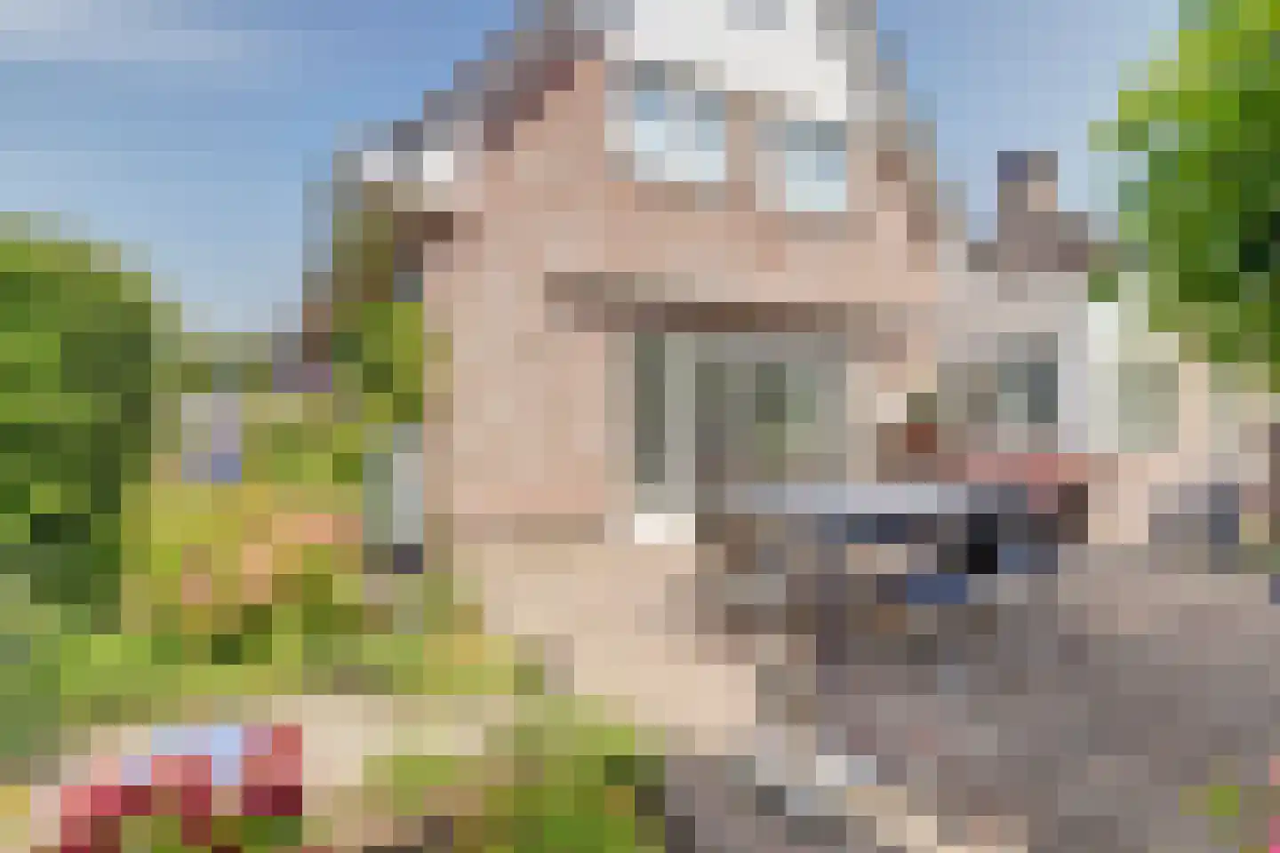 Kooigroet 6 Zuid-Scharwoude thumbnail 48