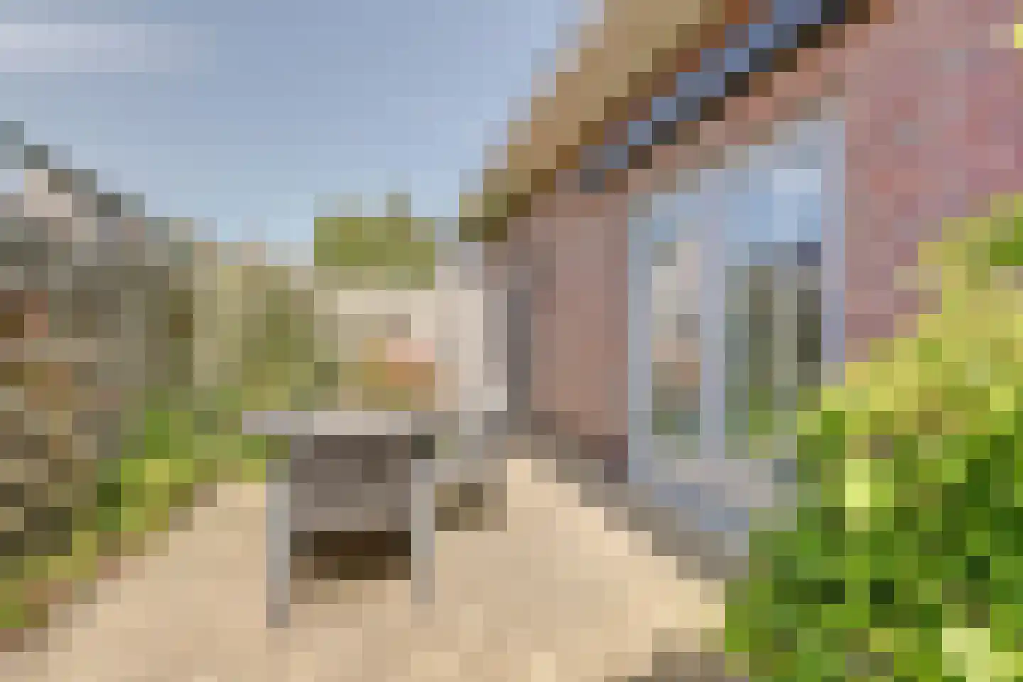 Kooigroet 6 Zuid-Scharwoude thumbnail 51