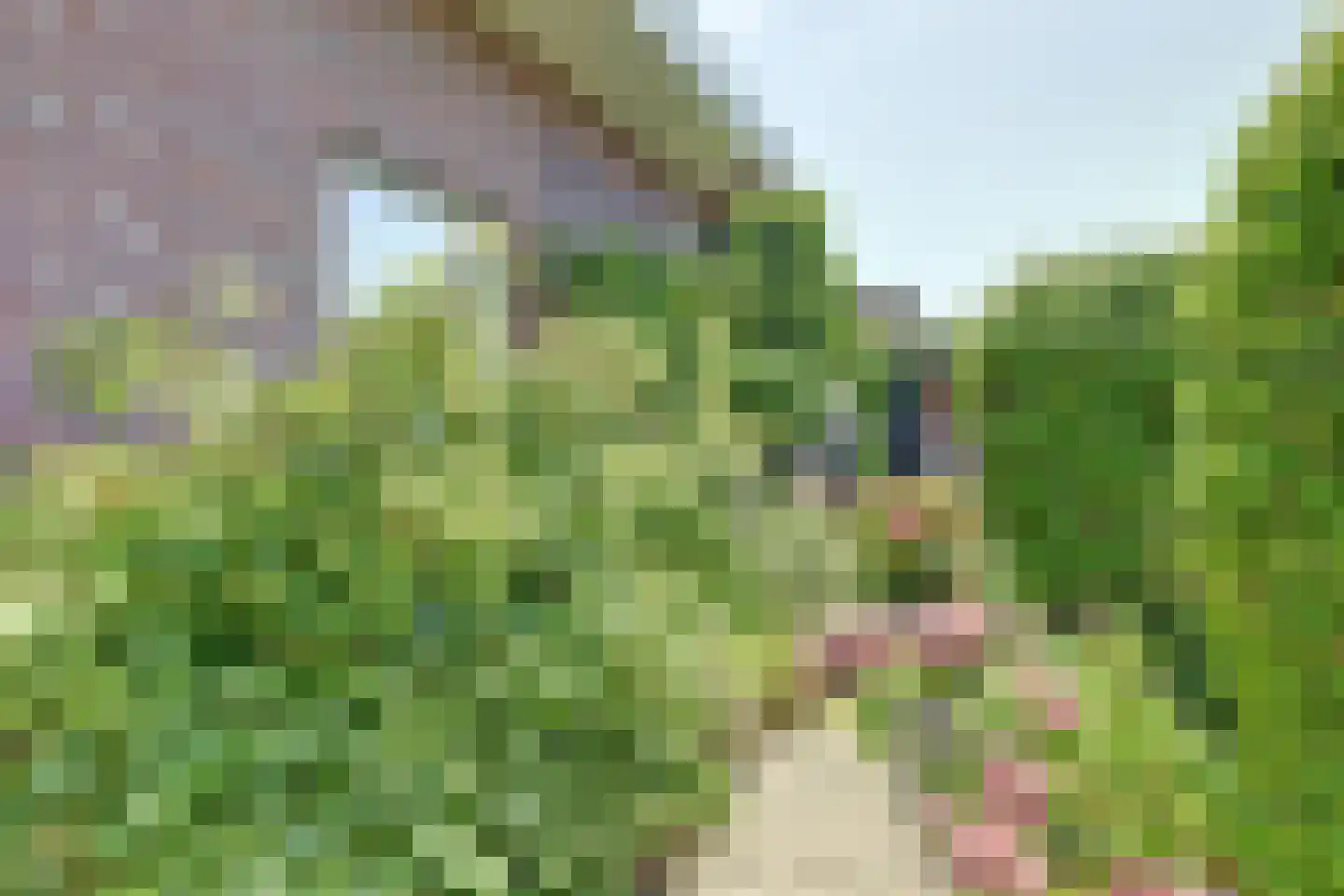 Kooigroet 6 Zuid-Scharwoude thumbnail 53