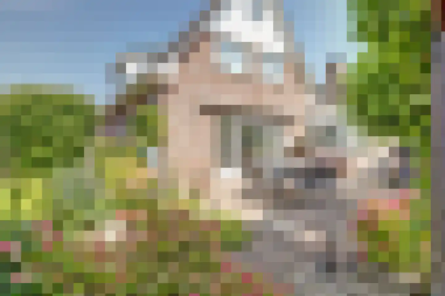 Kooigroet 6 Zuid-Scharwoude thumbnail 54