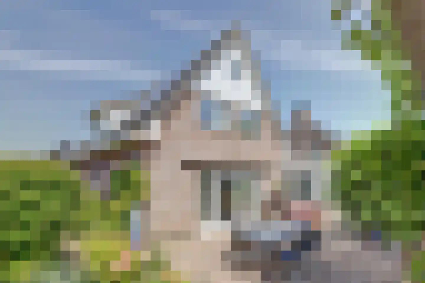Kooigroet 6 Zuid-Scharwoude thumbnail 55
