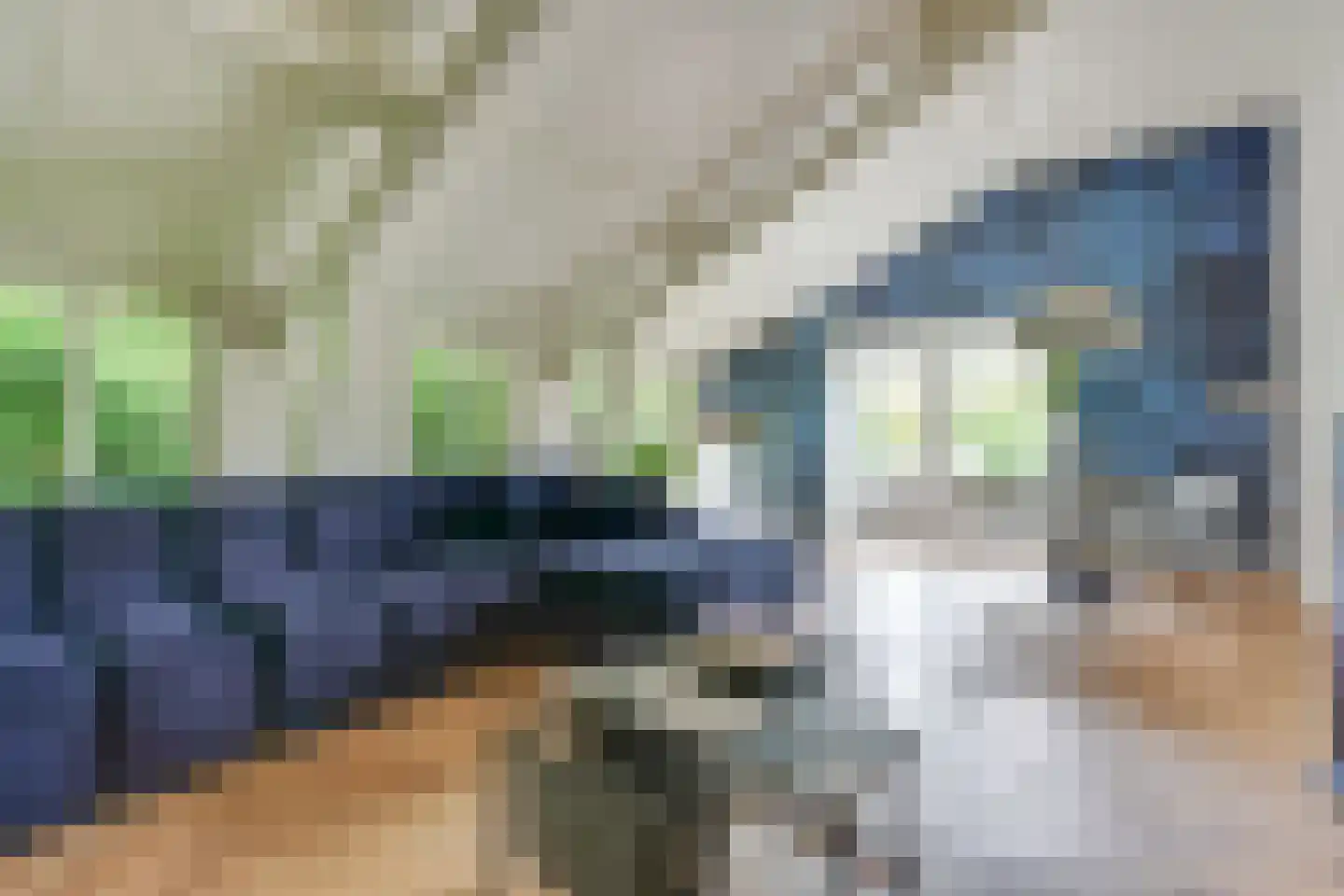 Kooihoek 8 a Brakel thumbnail 10
