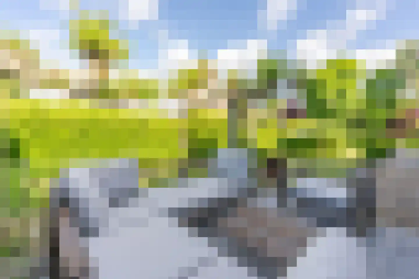 Kooihoek 8 a Brakel thumbnail 13