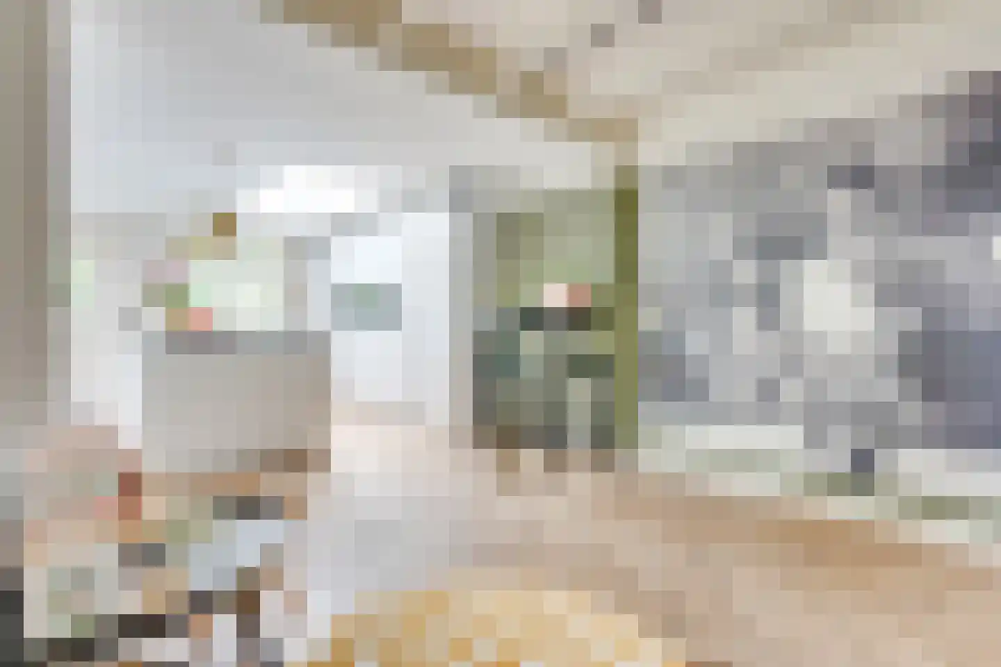 Kooihoek 8 a Brakel thumbnail 16
