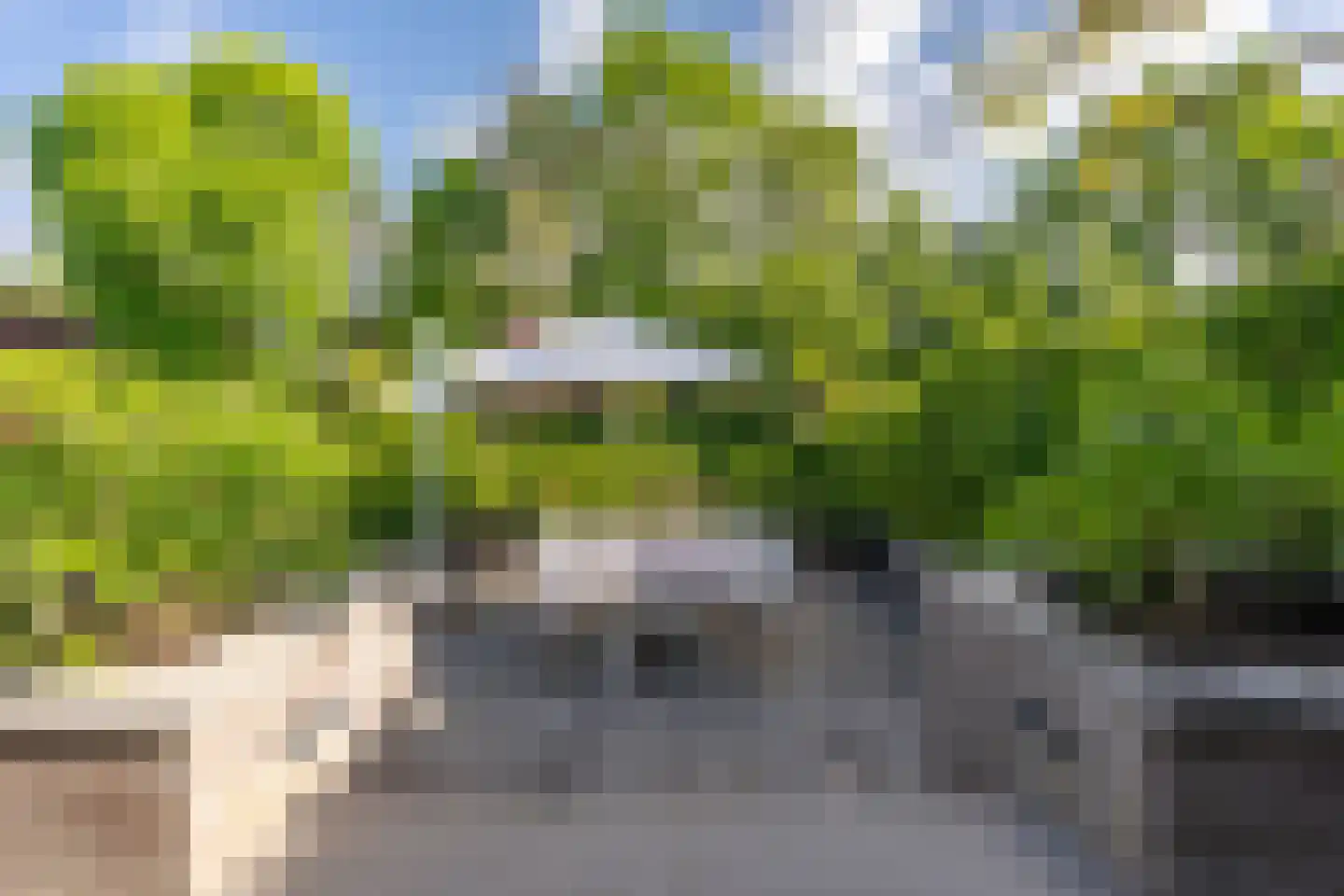 Kooihoek 8 a Brakel thumbnail 21