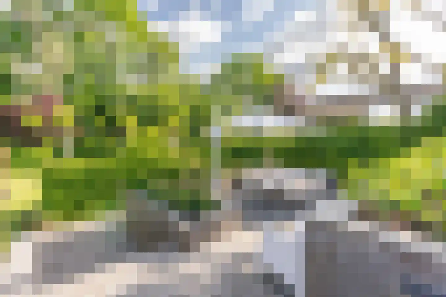 Kooihoek 8 a Brakel thumbnail 22
