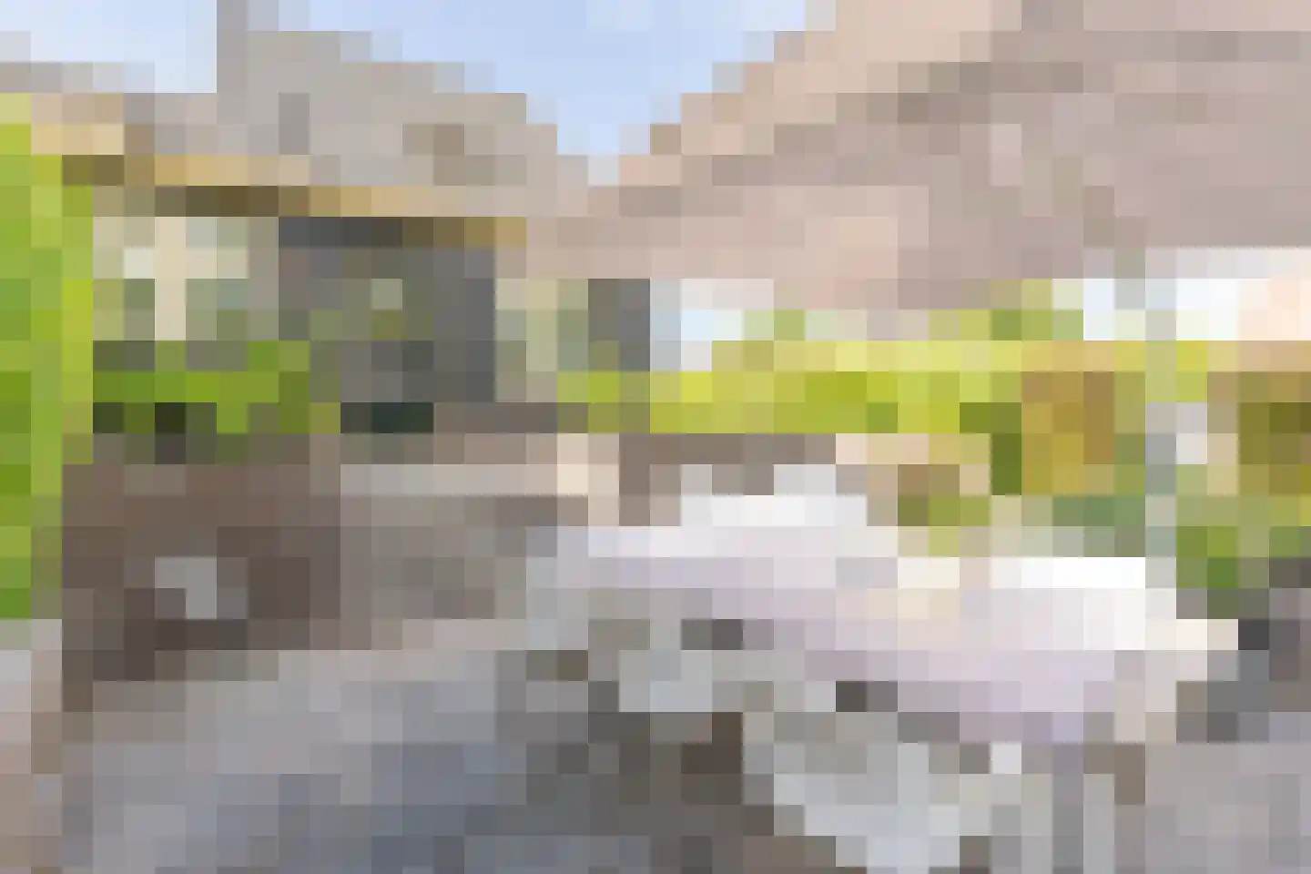 Kooihoek 8 a Brakel thumbnail 23