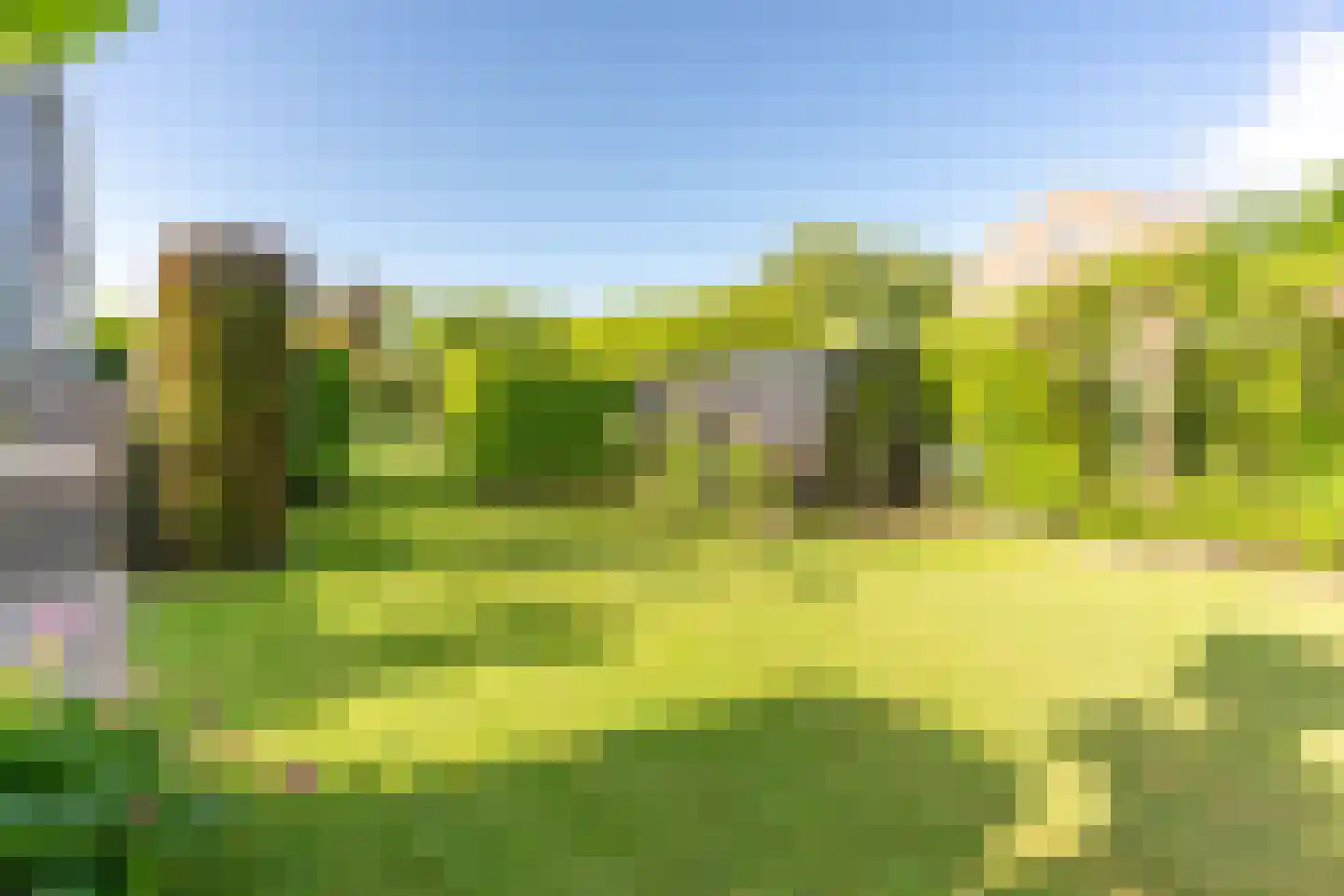 Kooihoek 8 a Brakel thumbnail 25