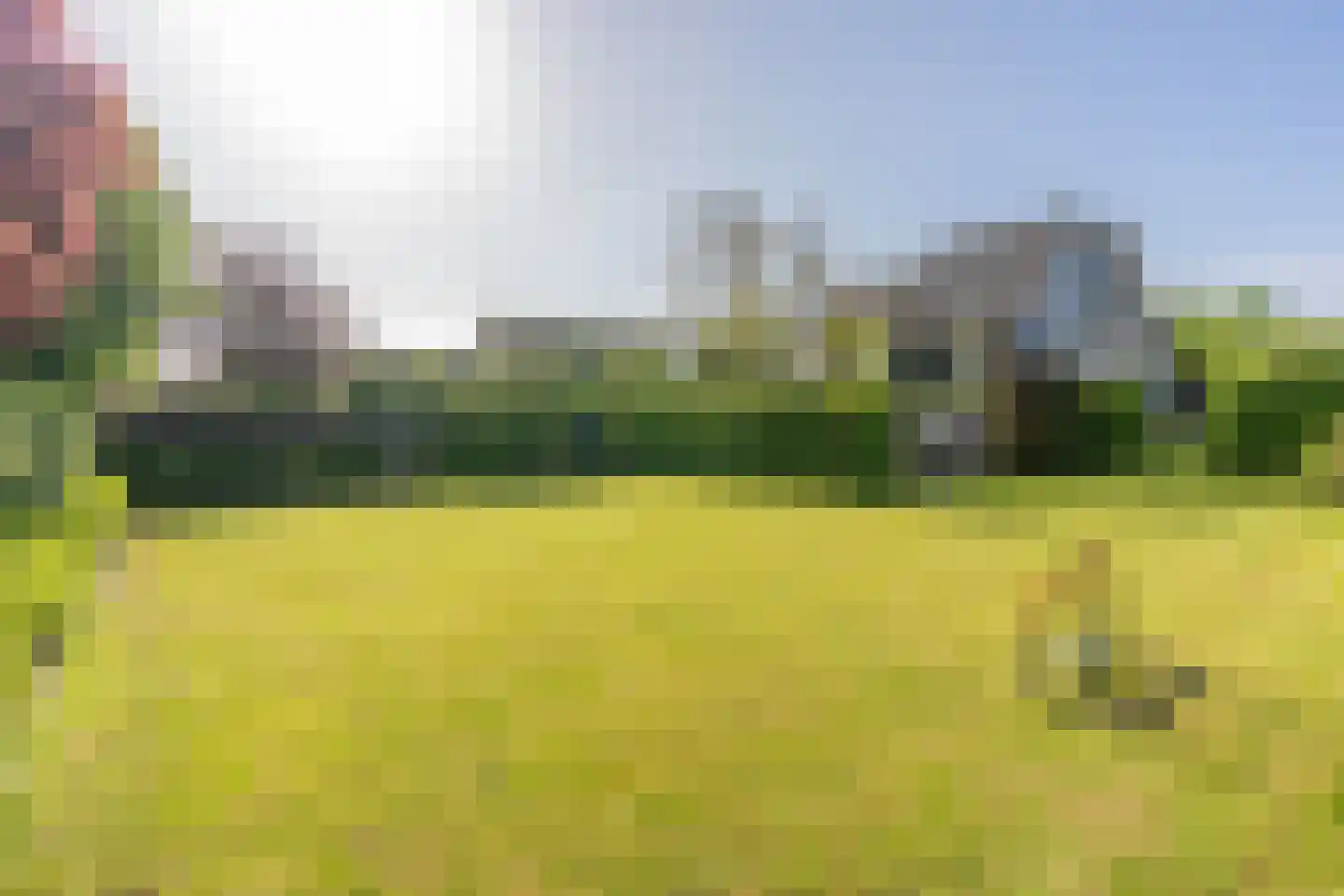 Kooihoek 8 a Brakel thumbnail 26