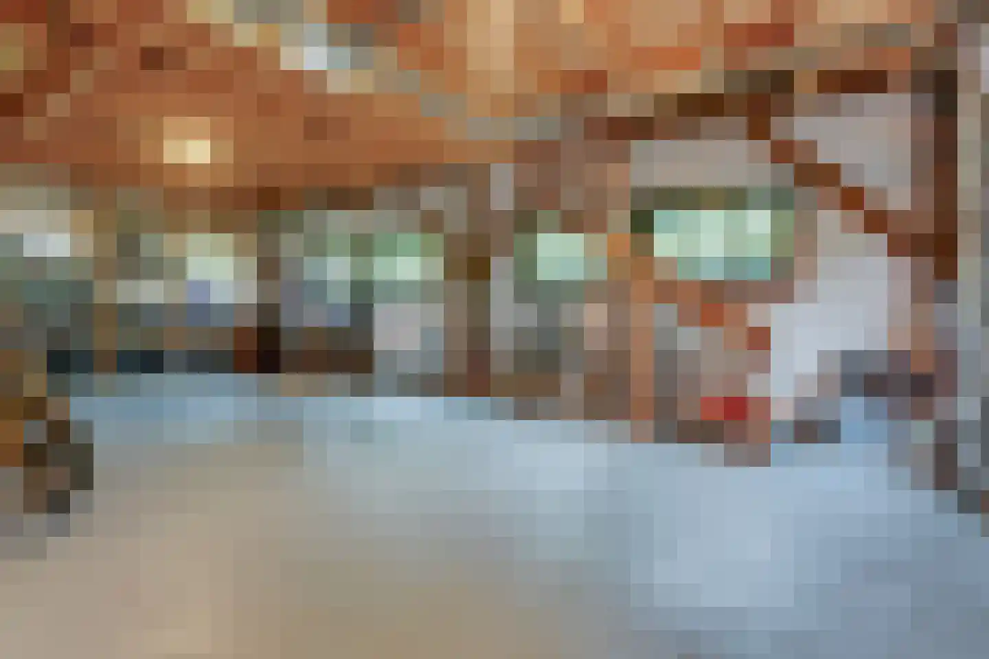 Kooihoek 8 a Brakel thumbnail 43