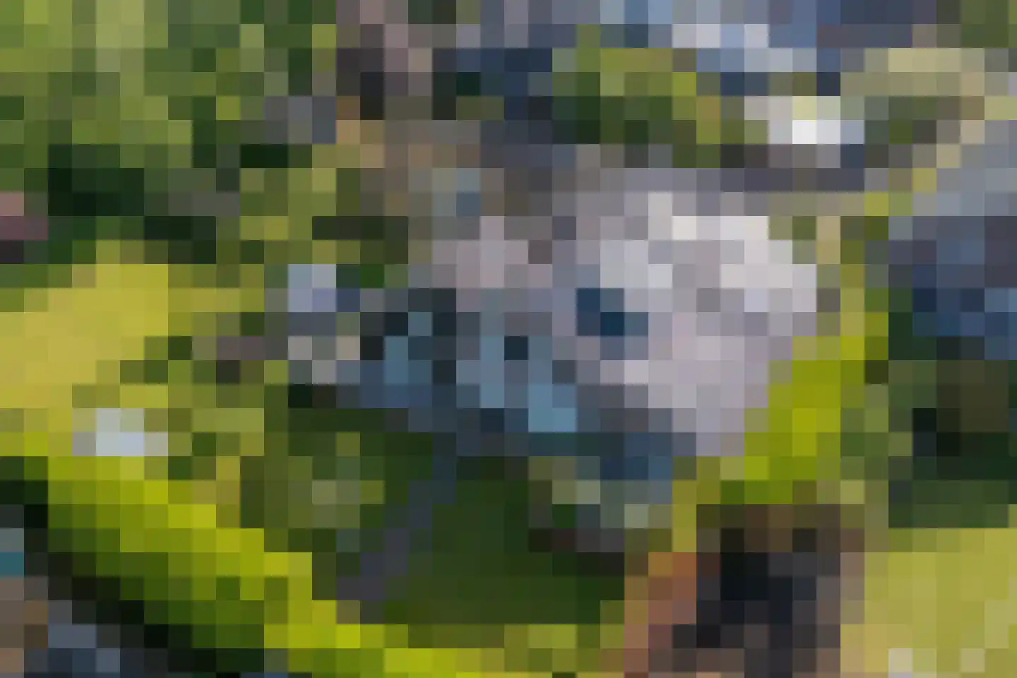 Kooihoek 8 a Brakel thumbnail 46