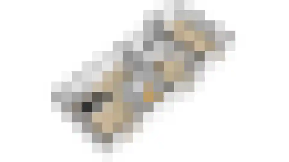Kooihoek 8 a Brakel thumbnail 50