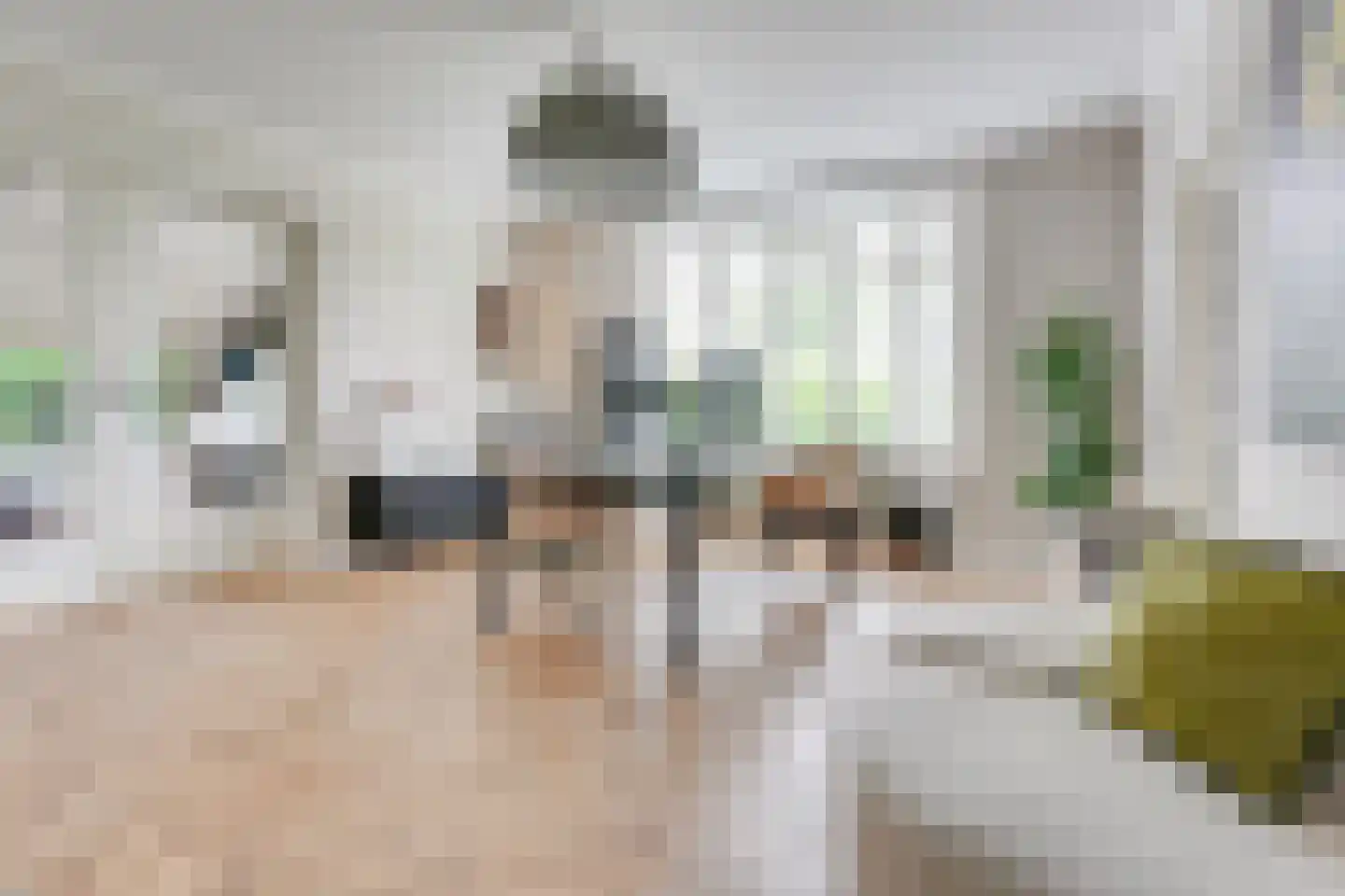 Kooihoek 8 a Brakel thumbnail 6