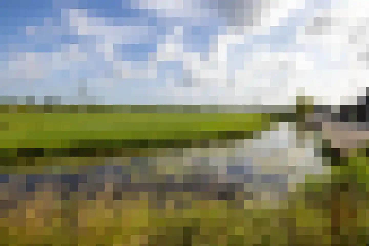 Kooijdijk 5 Westbroek thumbnail 41