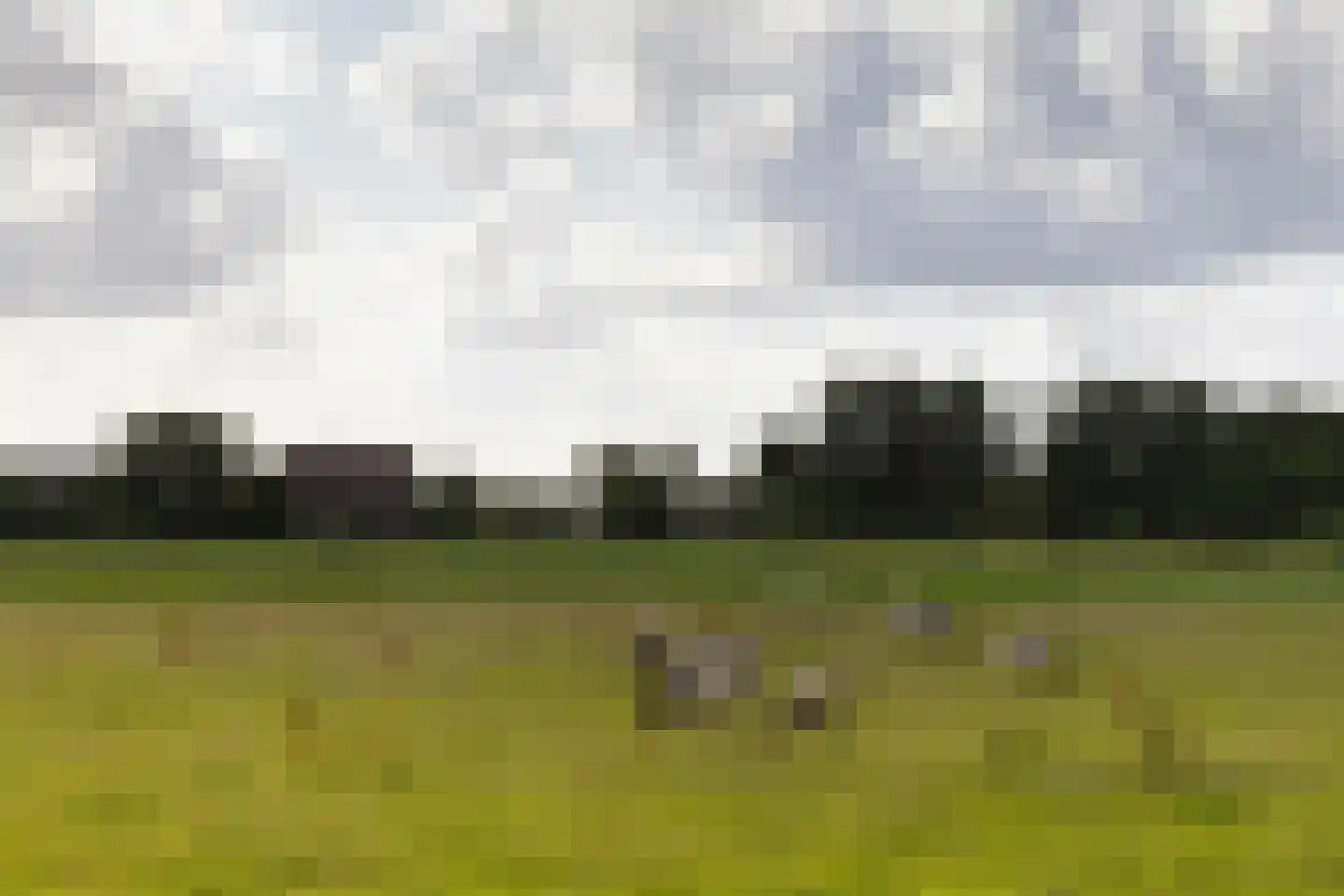 Kooijdijk 5 Westbroek thumbnail 47