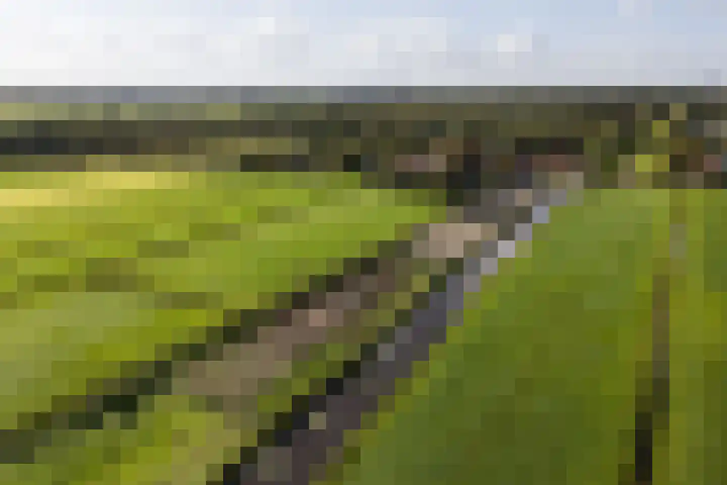 Kooijdijk 5 Westbroek thumbnail 50