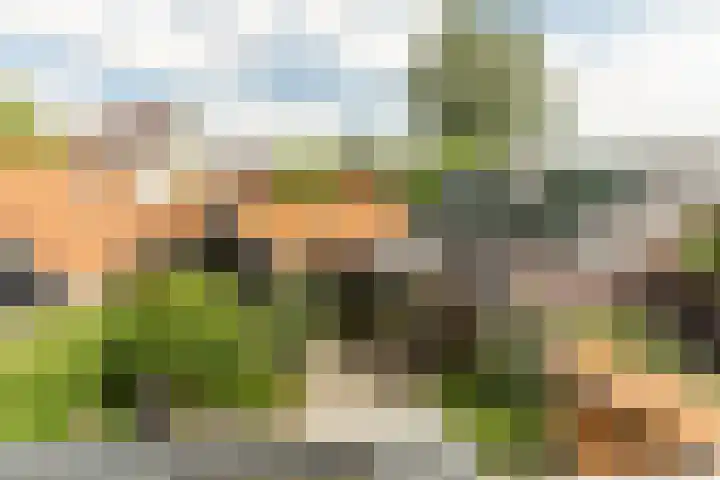 Kooijstraat 5 's-Gravendeel thumbnail 31