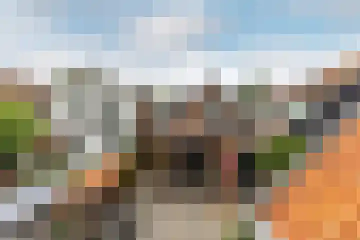 Kooijstraat 5 's-Gravendeel thumbnail 32