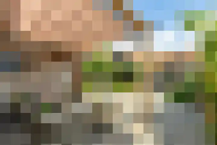 Kooijstraat 5 's-Gravendeel thumbnail 35