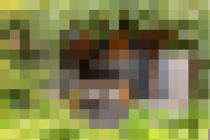 Kooijstraat 5 's-Gravendeel thumbnail 36
