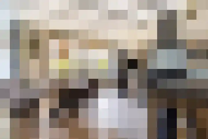 Kooijstraat 5 's-Gravendeel thumbnail 9