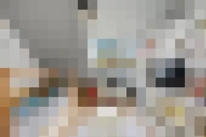 Kooiker 5 Beuningen Gld thumbnail 24