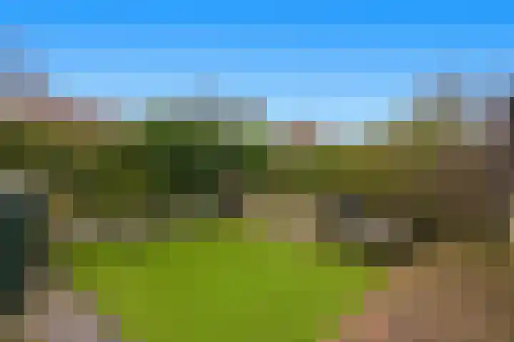 Kooiker 5 Beuningen Gld foto 3