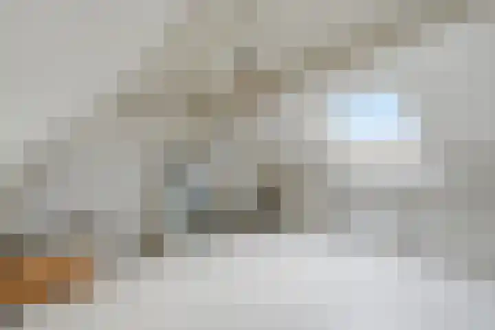 Kooiker 5 Beuningen Gld thumbnail 34