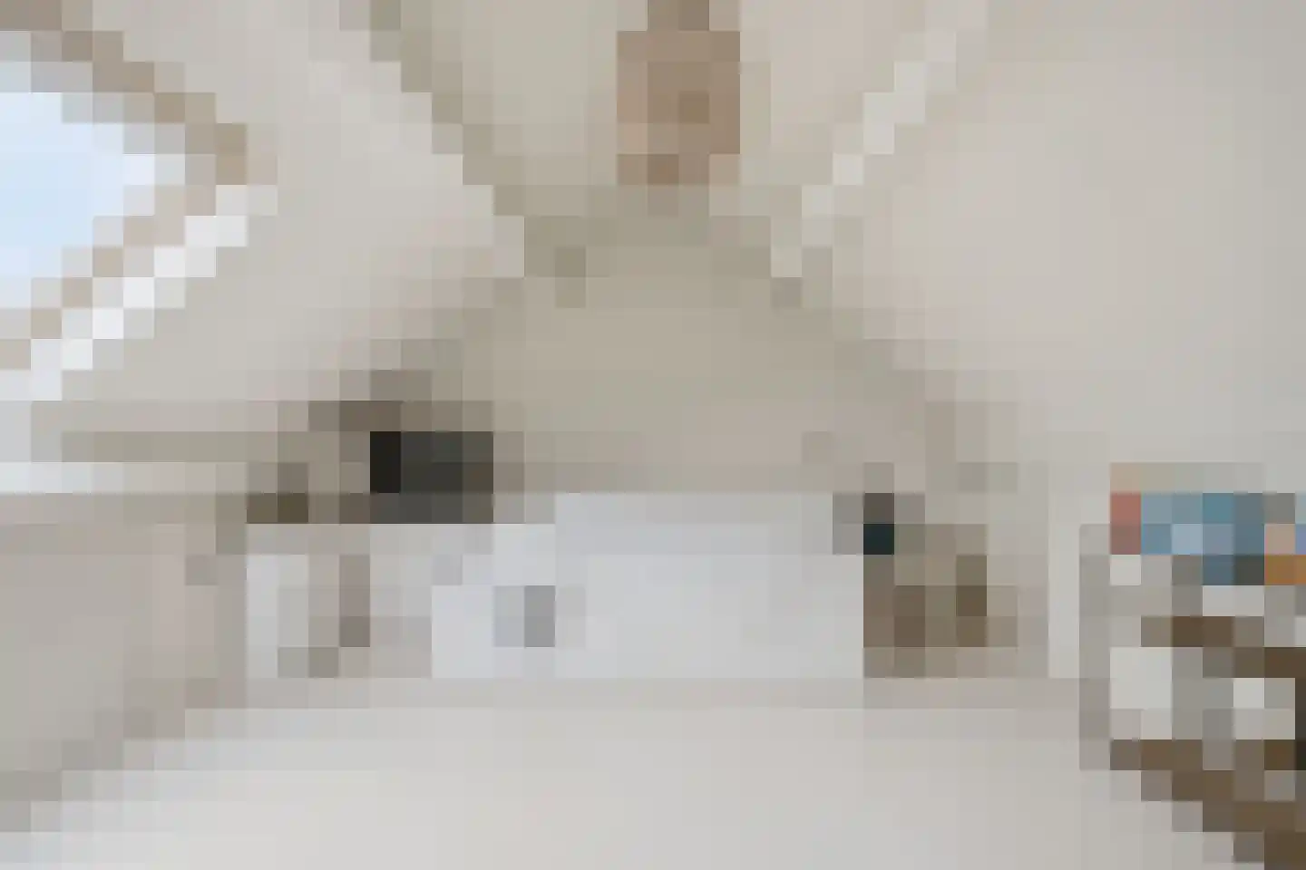 Kooiker 5 Beuningen Gld thumbnail 35