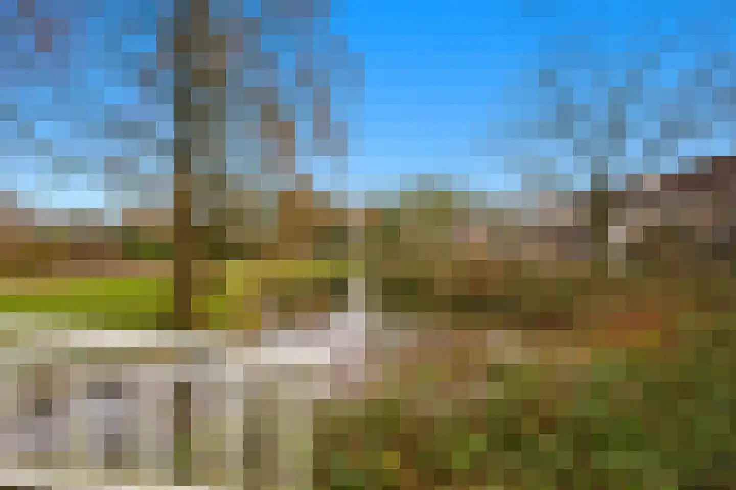 Kooiker 5 Beuningen Gld thumbnail 5