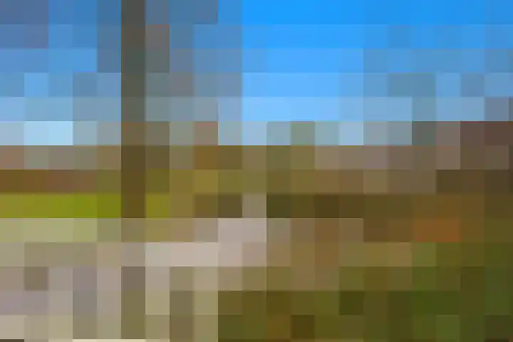 Kooiker 5 Beuningen Gld thumbnail 5